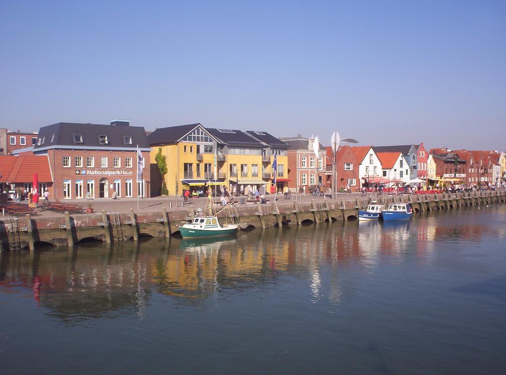 Reiterhof An Der Nordsee Witzwort エクステリア 写真